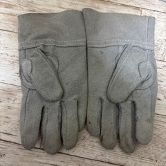 ハリネズミ　飼育セット　ゲージの画像