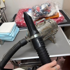 ペッカリー　エアードライやーヤー　ペット用　の画像