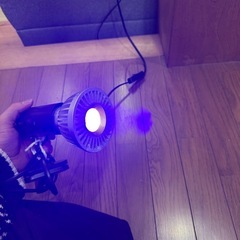 アクアリウム用　ライトの画像