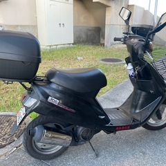 3kj ジョグ後期の画像