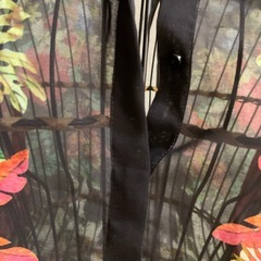 ZARA BASIC 花柄ブラウスの画像