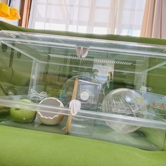 値下げ　グラスハーモニー600プラスの画像