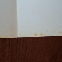 メトロポリタン美術館展ピカソとエコール・ド・パリ2002の画像