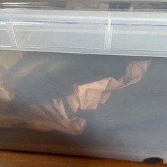 水盤　花入れ　生花　花瓶の画像