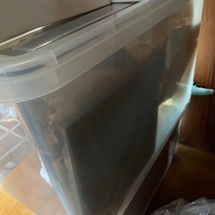 水盤　花入れ　生花　花瓶の画像