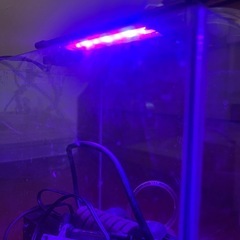 GEX 30センチ水槽　セットの画像