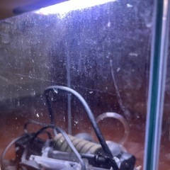 GEX 30センチ水槽　セットの画像