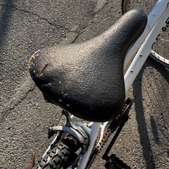 24インチ GRAPHIS クロスバイクの画像