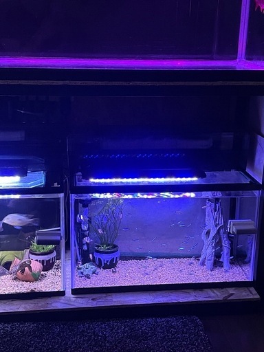 75センチ水槽など水槽各種　中古品