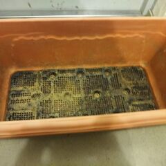 💗プランター💗の画像