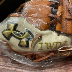 アンダーアーマーグラブの画像