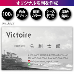 名刺印刷 100枚 両面 フルカラー 紙ケース付 No.2…