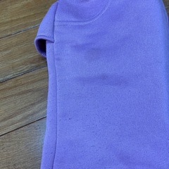 後ろフリルスウェットの画像