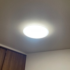アイリスオオヤマ　シーリングライトの画像