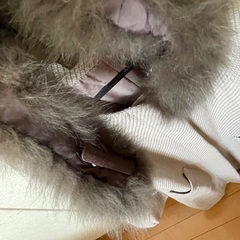 フォンタナグランデ コートの画像