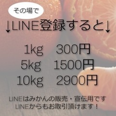 【農家直販！】佐賀県唐津市産みかん🍊の画像