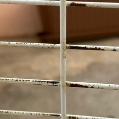 小動物ケージの画像