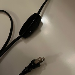 flos tacciaの画像