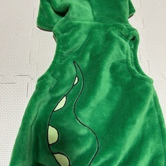 REX、レックス80-90cmの画像