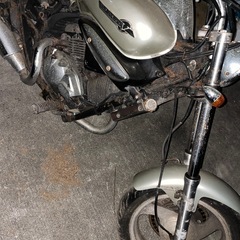 エリミネーター250V　の画像