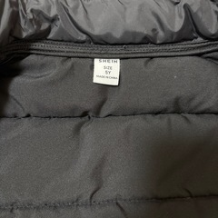 ダウンベストの画像