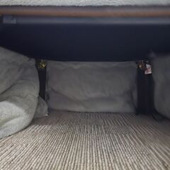 折り畳みこたつ(超美品)の画像