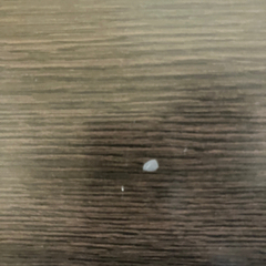 4人向けこたつ（こたつに見えないこたつ）の画像