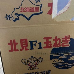 玉ねぎ　30個　　の画像