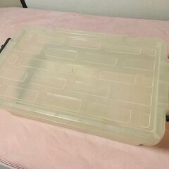 【無料譲渡】ふた付き収納ケース（衣装ケース）の画像