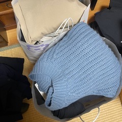 大きいサイズレディース　ほぼ新品
の画像