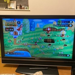 BRAVIA ジャンク
の画像