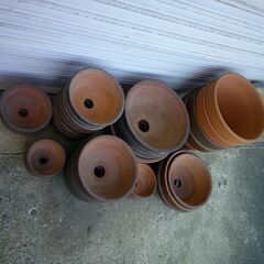 植木鉢　もらって下さい。の画像