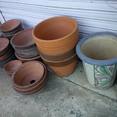 植木鉢　もらって下さい。の画像