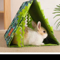 ペット介護用テント 小動物サイズ エキゾチックアニマル用 子犬 子猫 ハンモックの画像