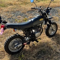 エイプ100 ボアアップの画像