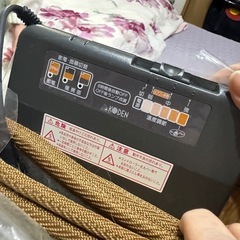 中古　フローリングタイプ　ホットカーペットの画像