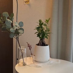 イームズスタイル サイドテーブルの画像