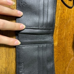 CERRUTI1881 PARISの画像