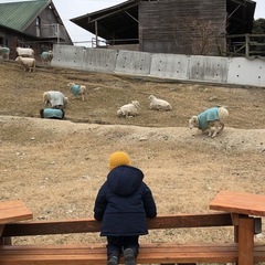 手放したくない程お気に入りのキムラタンのアウター《サイズ90」》 の画像