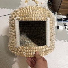 猫が入るカゴの画像