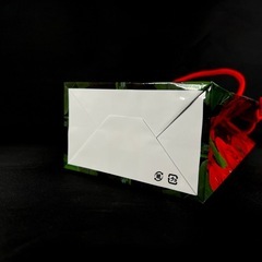 [100枚セット] バラ柄 ミニギフトバッグ PP光沢 143×114×66 ブライダル お渡し用 【A】の画像