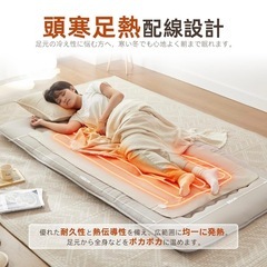 電気毛布 掛け 敷き 兼用 5段階温度調節 4段階タイマー 140×80cm 速暖 電気ブランケット の画像