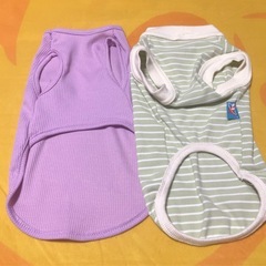 犬　ペット 服の画像