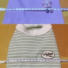 犬　ペット 服の画像