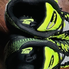 ナイキ AIR MAX 95の画像