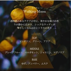 【 11/30まで 】オプタウム ピローミスト の画像