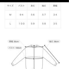 【11/16までに受け取り希望！】ハニーズ　ラメフェザークルーカーデの画像