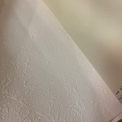 壁紙クロス13巻の画像
