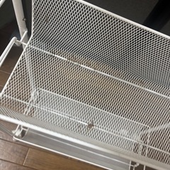 17日までに引き取れる方！！スチールラックの画像