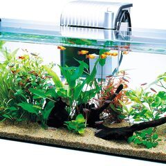 テトラ (Tetra) ガラス 水槽 オールグラスアクアリウム GA-600F 水槽 アクアリウム 熱帯魚 メダカ 金魚の画像